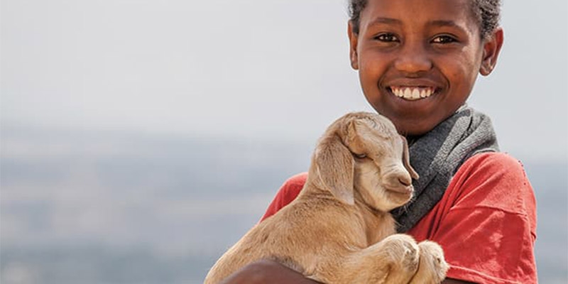 A boy holds a goat which can help life a family out of poverty